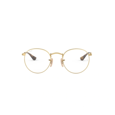Ray-Ban RB3447V 2730