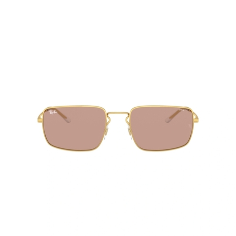 RB 3669 001/Q4 EVOLVE®