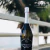 Prosecco Extra Dry 2021 - Espumante - comprar online