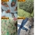 ACOLCHADO ONDA BLANCA ESTAMPADO 2 1/2 PLAZAS - comprar online