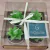 Vela Perfumada c/4 Suculenta - comprar online