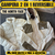 CAMPERA 2 EN 1 REVERSIBLE THE NORTH FACE - comprar online