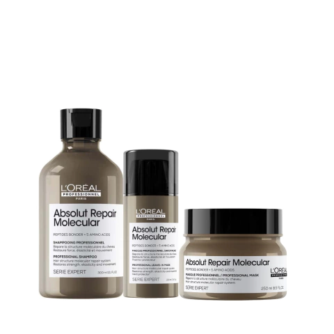 Kit Shampoo + Leave - in + Máscara Loreal Serie Expert Absolut Repair Molecular - comprar online