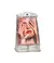 SALON TIPS ELOISE 003T 80535