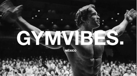 Carrusel GYMVIBES