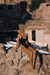 RICO swimsuit - online store