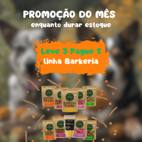 Carrossel 1