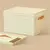 CAJA ORGANIZADORA GRANDE CON TAPA - Tisco Store