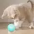 Brinquedo Interativo para Gatos – Bola Inteligente - loja online