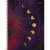 Caderno Magic Espiral Capa Dura 16 Matérias - Tilibra - Butiello - Papelaria & Afins