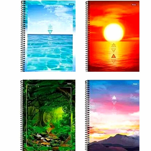 Caderno Universitário 4 Elementos 1 Matéria 80 Fls - Foroni