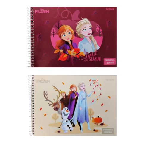 Caderno Cartografia e Desenho Capa Dura Frozen - Jandaia