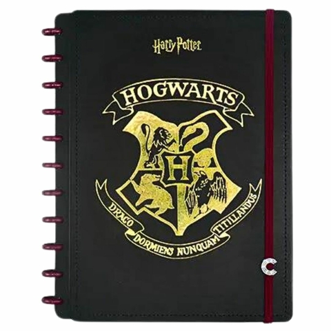 Caderno Inteligente Harry Potter Médio - Weci