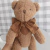 Urso Teodor love com laço na internet
