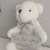 Urso Teodor com Placa na internet