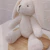 Coleção festa: Coelhinho - comprar online
