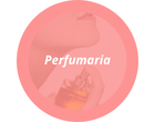 Categoria 2