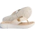 Chinelo Ortopédico Modare Feminino Esporão Massageador Macio
