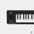 Teclado Controlador Korg Midi Usb Microkey2-49 - Aslan Music Shop