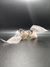 Xuxinha para cabelo - borboleta na internet