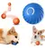 JUGUETE PARA GATOS INTELIGENTE E INALAMBRICO Buddy® en internet