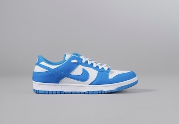 Nike Dunk Azul/Branco - comprar online
