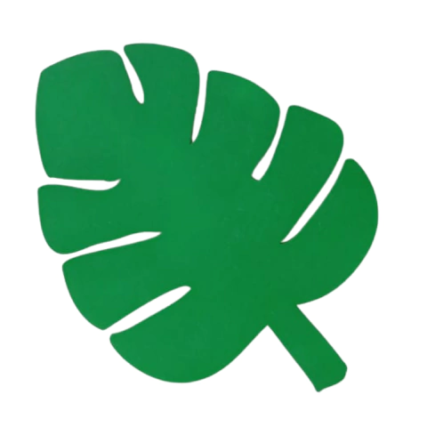 Costela de Adão - comprar online