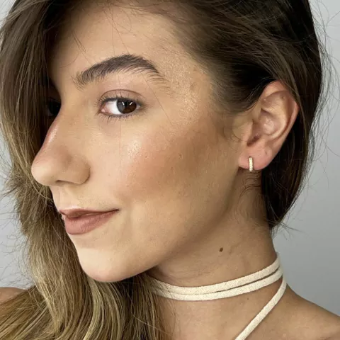 Brinco Argola Cravejada P