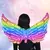 Imagen de [CL454] ALAS INFLABLES "FAIRY MAGIC" X5UN.