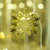 [CL427] GUIRNALDA DE LUCES "SNOWFLAKES" - comprar online