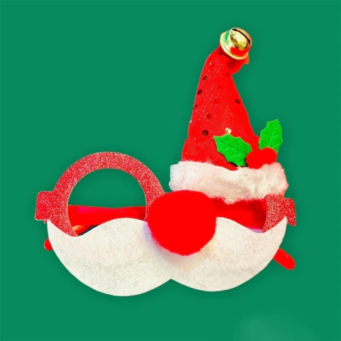 [EZ288] ANTEOJOS NAVIDEÑOS SANTA