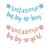 [BH242] BANDERIN GLITTER "WELCOME BABY GIRL/BOY" - comprar online
