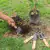 Imagen de Juego 4 Herramientas Jardin Mangos 6 Pulgadas Truper 15030