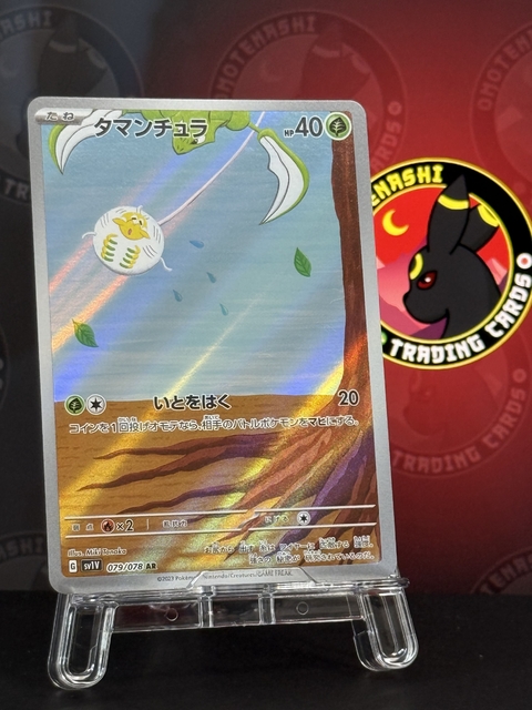 Tarountula AR 079/078 - comprar online