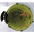 Imagem do Câmera De Ação Gopro Fusion 360º