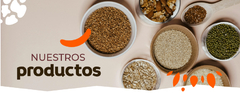 Banner de la categoría Productos