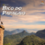 BICO DO PAPAGAIO - 25/05/2025 - comprar online