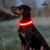 COLLAR PARA PERRO LED! PROMO 2x1 - comprar online