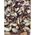Castanha Do Para Média 100% Natural Safra Nova
