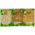 Kit Energético Ginseng + Guaraná + Catuaba Em Pó 100% Natural Puro