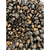 Imagem do Café em Grão Tipo Arábica 300g/500g/1kg Premium - Safra Nova