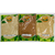Kit guaraná + Ginseng + Marapuama Em Pó Energia Disposição 100% Natural Original - Natural Raiz LTDA