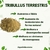 Tribullus Terrestres Raiz 100% Puro - Natural Raiz - loja online