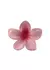 Broche Hawaiano Rosa - comprar online