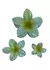 Broche Hawaiano Verde en internet