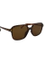 Lentes Candace Leopardo Marrón - Accesorios CM Mayorista