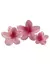 Broche Hawaiano Rosa - Accesorios CM Mayorista