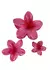 Broche Hawaiano Fucsia en internet