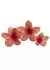 Broche Hawaiano Coral - Accesorios CM Mayorista