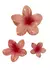 Broche Hawaiano Coral en internet